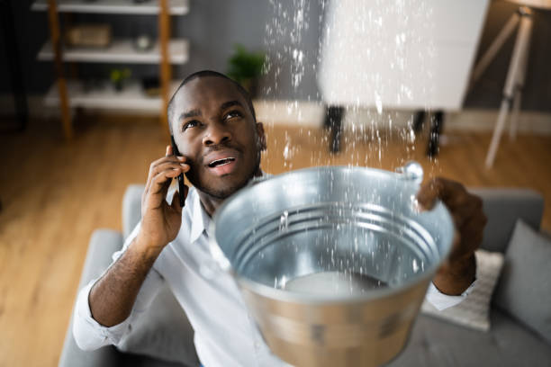 Best Flood damage cleanup  in Long Beach, MS