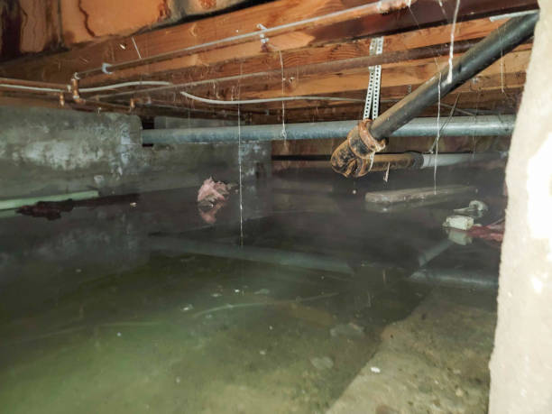 Best Emergency water extraction  in Long Beach, MS