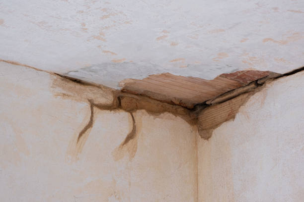 Best Water damage restoration near me  in Long Beach, MS