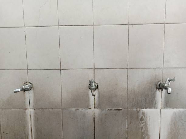 Best Water damage cleanup near me  in Long Beach, MS