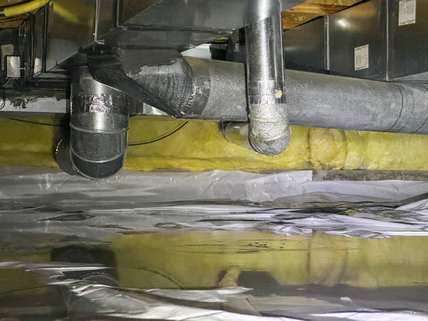 Best Carpet water damage restoration  in Long Beach, MS