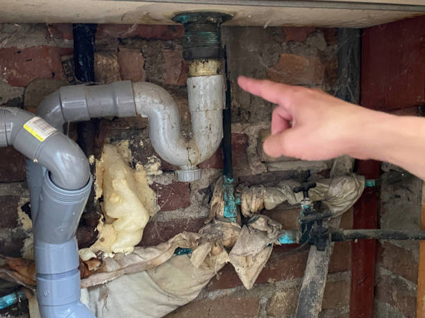 Best Flooded house restoration  in Long Beach, MS